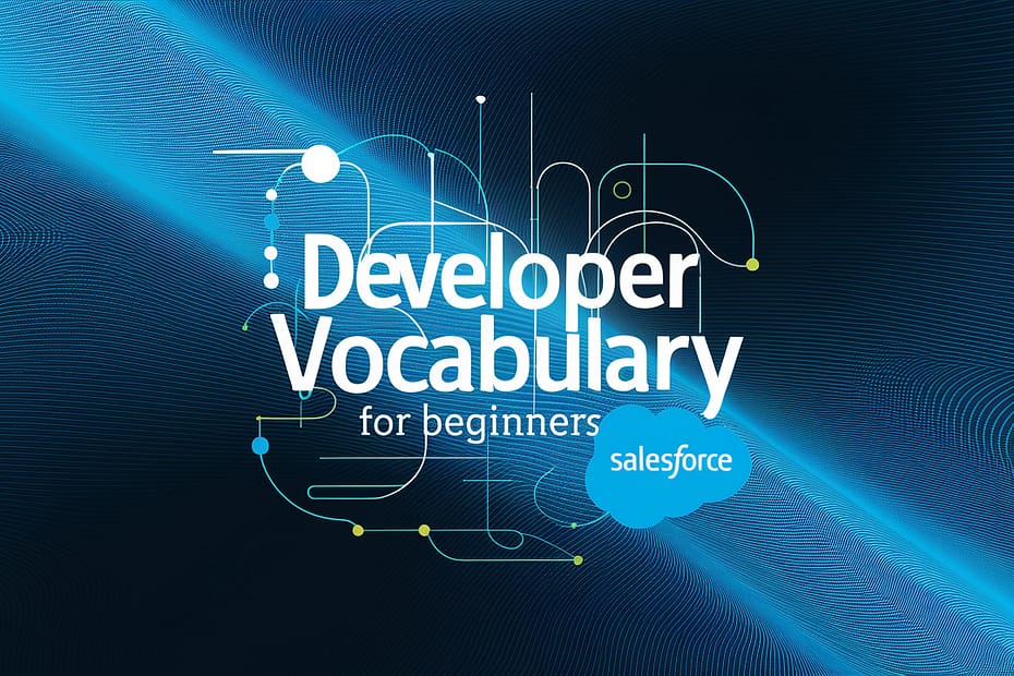 Developer Beginner Vocabulary